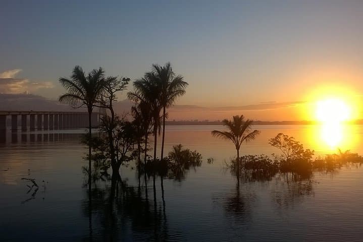 Full-Day Amazon River Experience with Night Boat Tour from Manaus photo 2