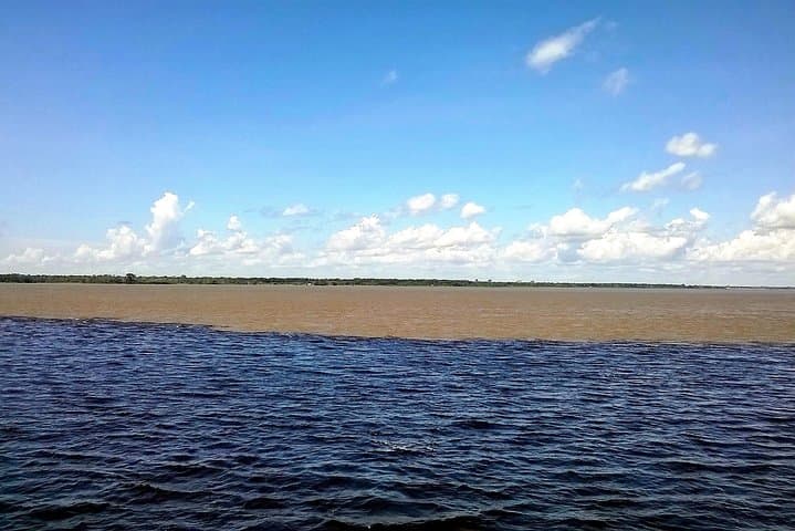 Full-Day Amazon River Experience with Night Boat Tour from Manaus photo 5
