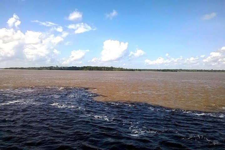Full-Day Amazon River Experience with Night Boat Tour from Manaus photo 6