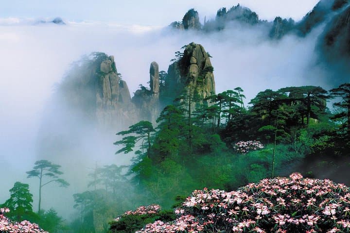 Huangshan Day Tour from Tunxi: Yungu Cable Car, Buffet Lunch & Scenic Peaks