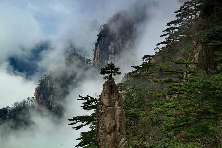Huangshan Day Tour from Tunxi: Yungu Cable Car, Buffet Lunch & Scenic Peaks photo 3