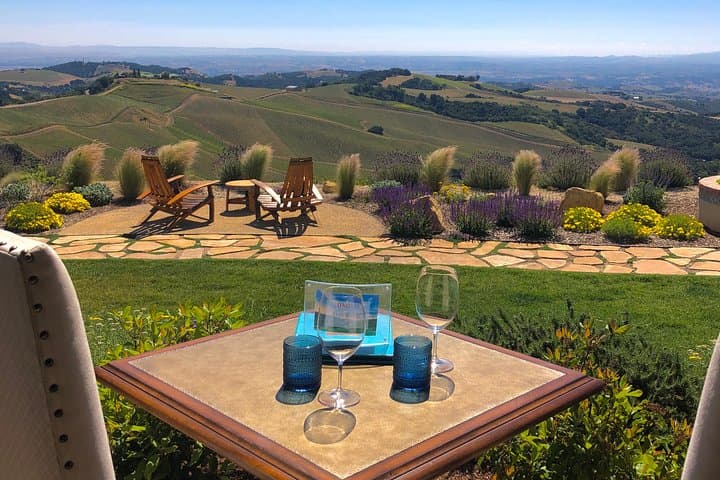 Paso Robles Wine Tour — Driver Drives Your Vehicle for Private Tasting photo 2