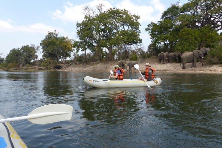 Zambezi Canoe Safari: Close-Up Wildlife from Victoria Falls photo 1