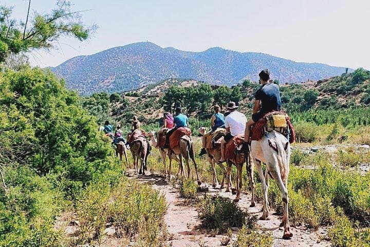 Marrakech to Atlas Mountains: Imlil, Aremd & Four Valleys Day Trip photo 2