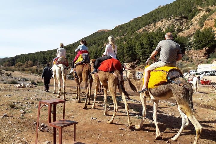 Marrakech to Atlas Mountains: Imlil, Aremd & Four Valleys Day Trip photo 5