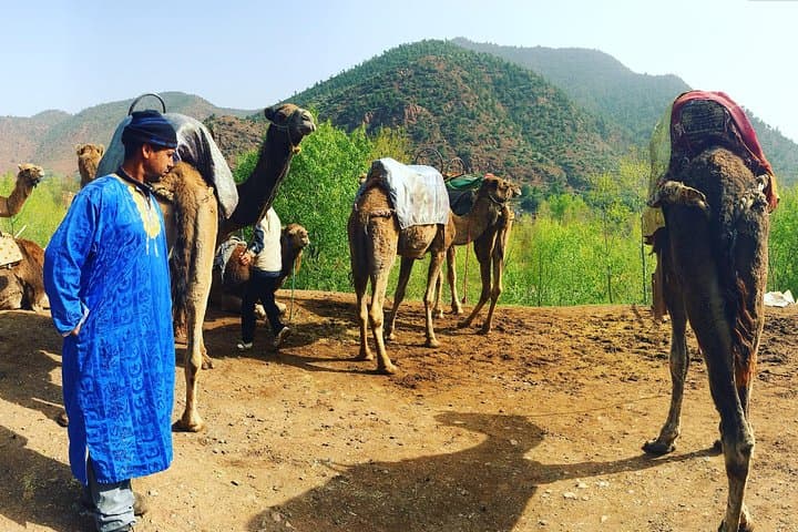 Ourika Valley Day Trip from Marrakech: Waterfalls, Berber Life, and Atlas Views photo 2