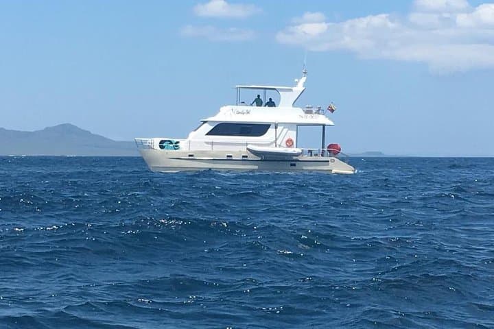 Snorkel Kicker Rock (León Dormido) — Full-Day Sleeping Lion Tour from San Cristóbal photo 4