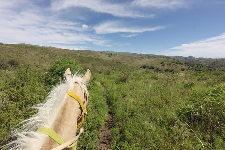 Gaucho Horseback Ride in the Sierras Chicas (Agua de Oro) photo 2
