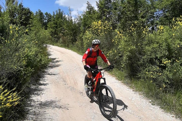 eBike Tour Through Gola del Furlo and Acqualagna Truffle Tasting photo 6