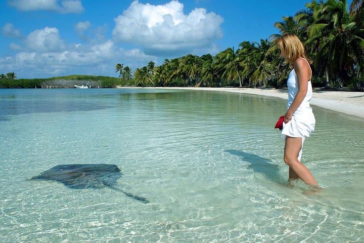 Day Trip to Isla Contoy: Bird Sanctuary & Snorkel from Cancun photo 2