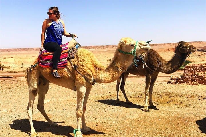 Imlil Valley Day Trip & Camel Ride from Marrakech — High Atlas Excursion photo 6