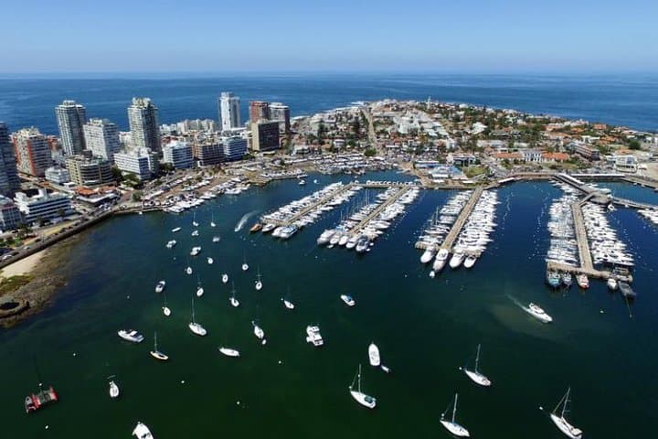 Full-Day Punta del Este Tour from Montevideo — Casapueblo, Isla de Lobos & Coastal Views photo 5
