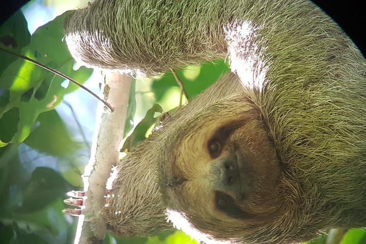 Arenal Volcano, Hanging Bridges & La Fortuna Waterfall — Full-Day Private Tour photo 2