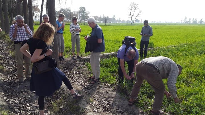 Amritsar Urban Farm Trip: Explore Punjab Village Life & Organic Lunch photo 2