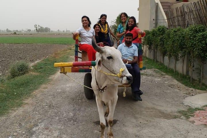 Amritsar Urban Farm Trip: Explore Punjab Village Life & Organic Lunch photo 3