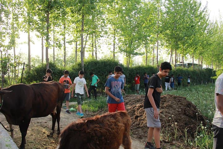 Amritsar Urban Farm Trip: Explore Punjab Village Life & Organic Lunch photo 4