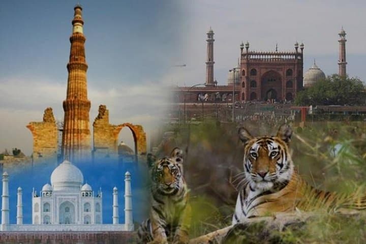 Golden Triangle & Ranthambore: 7-Day Taj, Tigers & Birdlife Tour photo 4