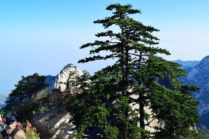 Private Day Hike to Mount Hua (Huashan) from Xi'an — Peaks, Ridges & Cable Car Options photo 3