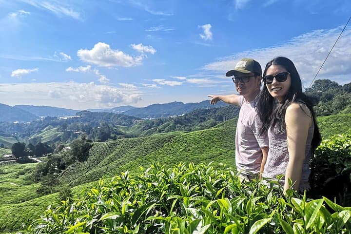 Cameron Highlands Day Tour from Ipoh — Tea Plantations, Kea Farm & Waterfall
