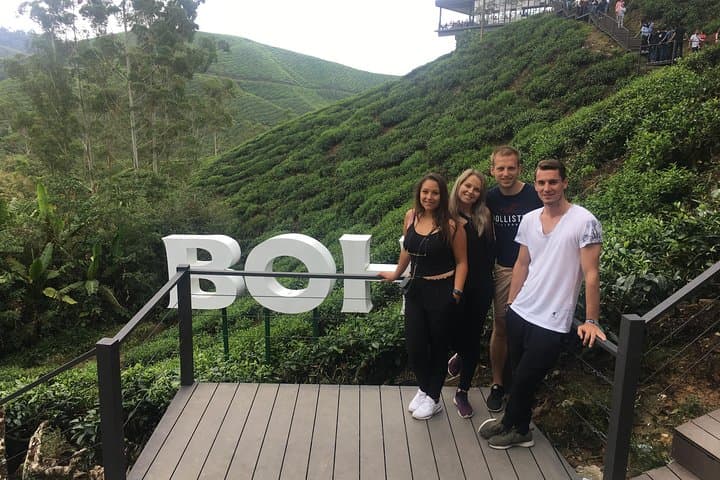 Cameron Highlands Day Tour from Ipoh — Tea Plantations, Kea Farm & Waterfall photo 2