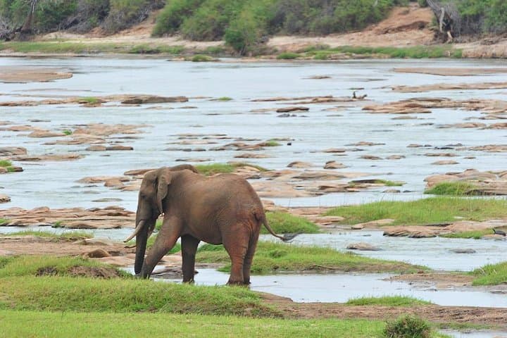 Rails to Safari: 3-Day Tsavo West & Amboseli Serena Train Experience photo 3