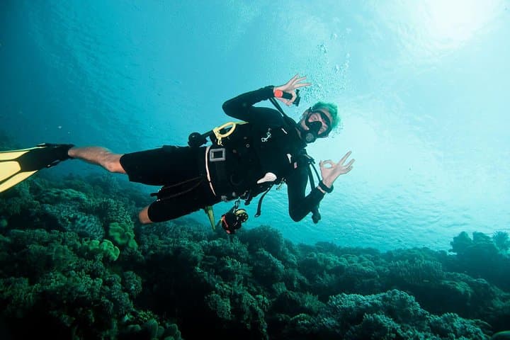 Nusa Penida Two-Dive Adventure: Manta Point & East Penida Reefs photo 3
