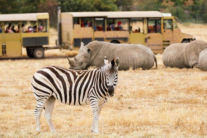 3-Day Maasai Mara Guided Safari: Big Five & Great Migration Highlights photo 6