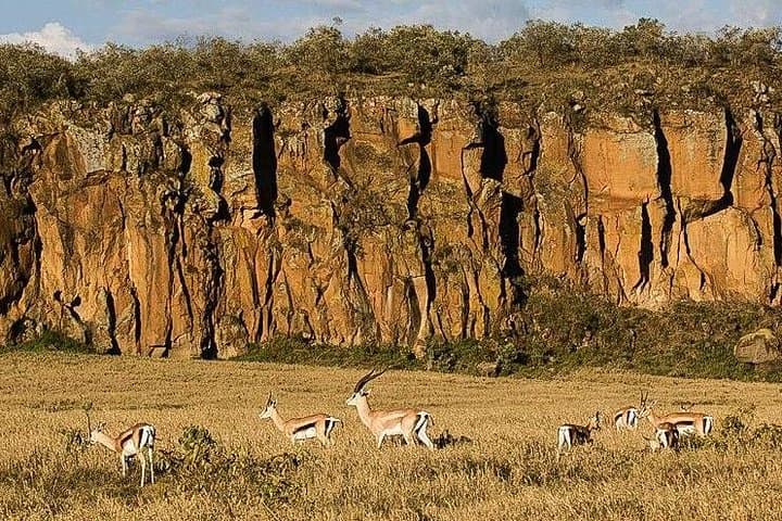 Hells Gate & Lake Naivasha Day Trip: Hiking, Rock Climbing and Crescent Island Boat Safari photo 2