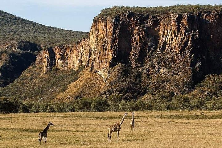 Hells Gate & Lake Naivasha Day Trip: Hiking, Rock Climbing and Crescent Island Boat Safari photo 4