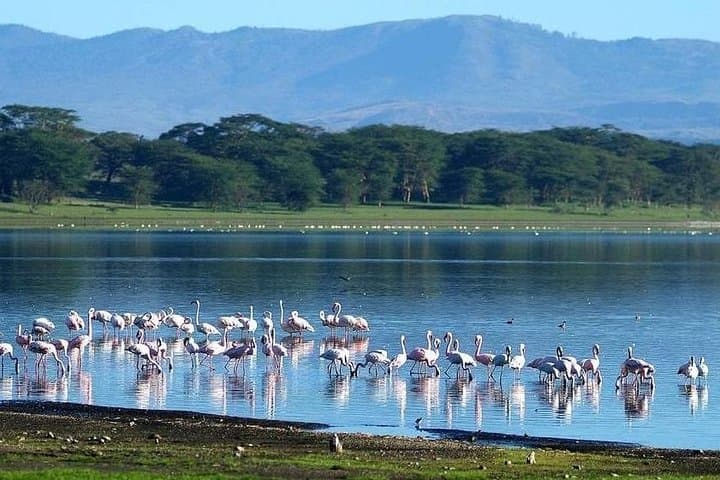 Hells Gate & Lake Naivasha Day Trip: Hiking, Rock Climbing and Crescent Island Boat Safari photo 6