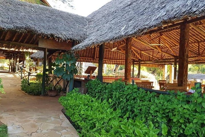 Rails to Safari: 3-Day Tsavo West & Amboseli Serena Train Experience photo 6