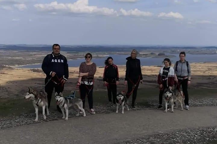 Husky-Pulled Cani Rando in the Monts d'Arée — Half-Day Hike from Brasparts to Roc'h Cleguer photo 2