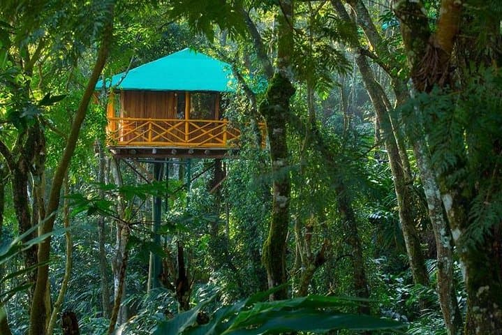 Munnar Treehouse Escape: 2-Night Private Trip from Kochi photo 3