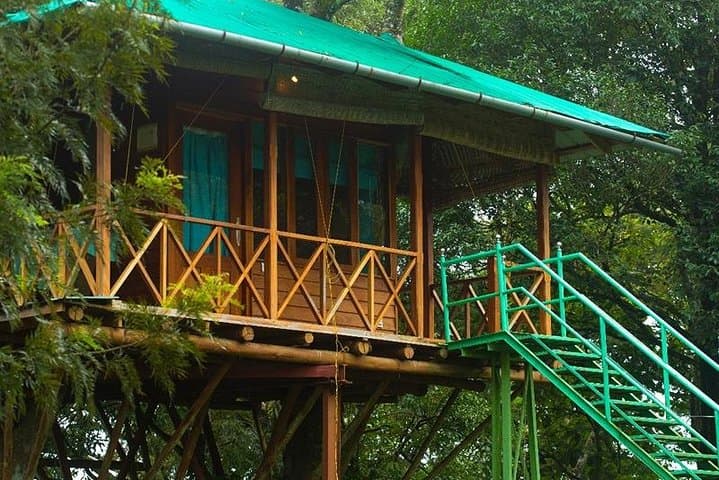 Munnar Treehouse Escape: 2-Night Private Trip from Kochi photo 5