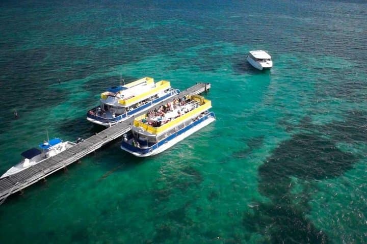 Isla Contoy & Ixlaché Reef Day Trip from Playa del Carmen — Snorkel, Birdwatch & Isla Mujeres photo 3