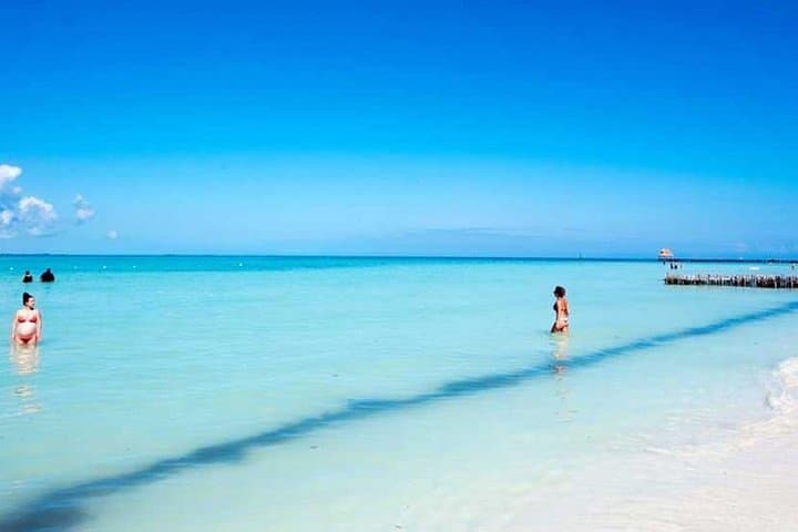 Day Trip to Isla Contoy: Bird Sanctuary & Snorkel from Cancun photo 4
