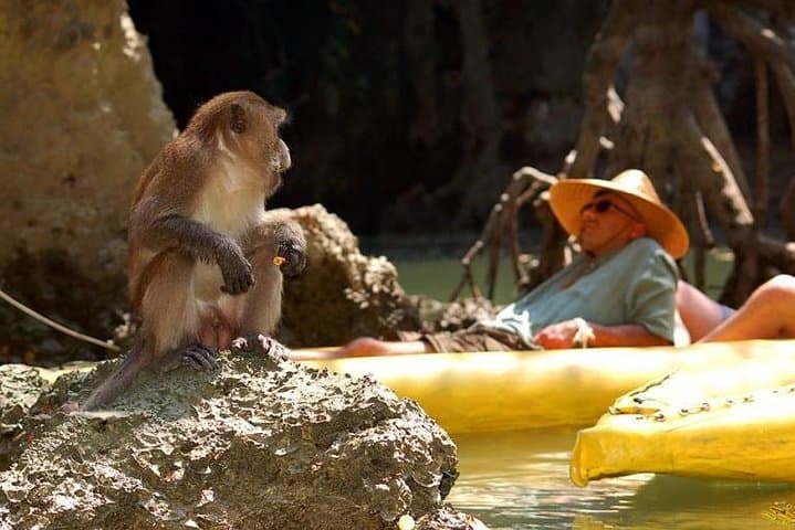 Phang Nga Bay Starlight Kayak & Cave Canoe Tour from Phuket photo 5