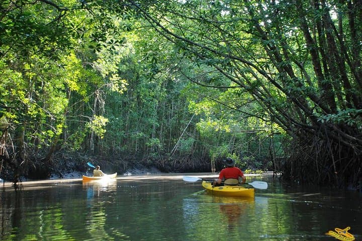 Phang Nga Bay Starlight Kayak & Cave Canoe Tour from Phuket photo 2