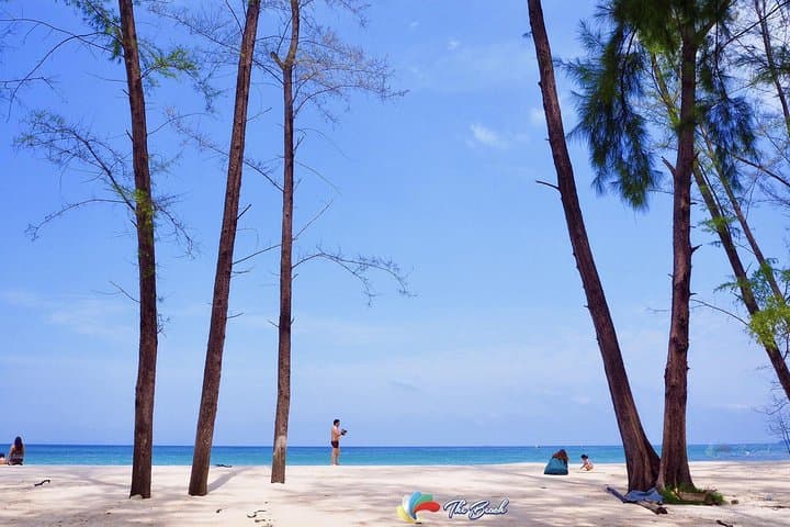 Early Bird Phi Phi Islands Speedboat Tour: Sunrise Snorkel & Bamboo Island Day Trip photo 4