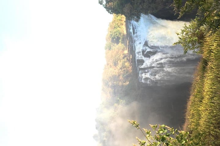 Private Guided Tour of Victoria Falls: Up-Close Rainforest Walk with Hotel Pickup photo 4