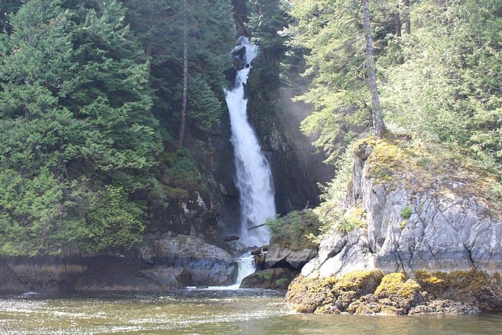 Granite Falls Zodiac Tour: Fast-Boat Fjord Adventure from Granville Island photo 4