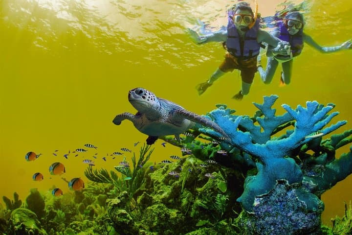 Sian Ka’an Biosphere Full-Day Boat & Snorkel Expedition from Playa del Carmen