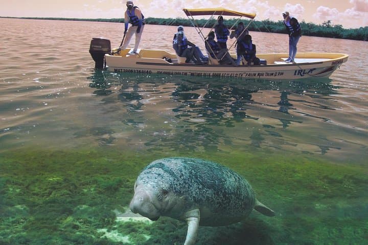 Sian Ka’an Biosphere Full-Day Boat & Snorkel Expedition from Playa del Carmen photo 2
