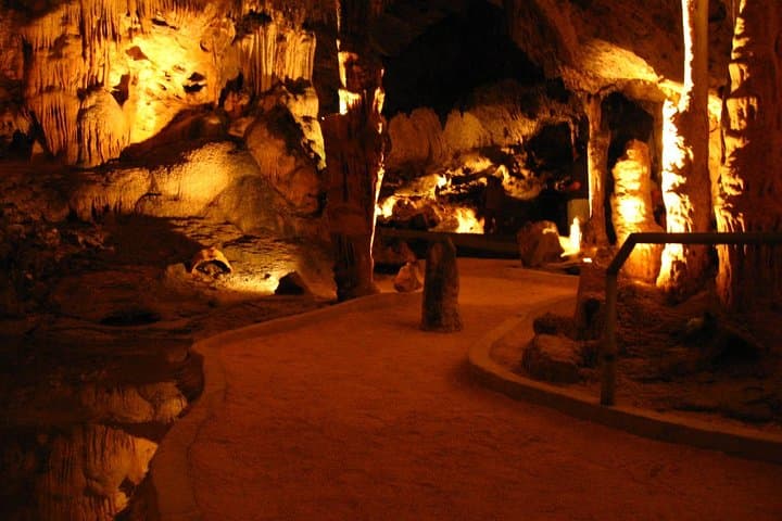 curacao-beach-and-hato-caves-half-day-eco-tour photo 5