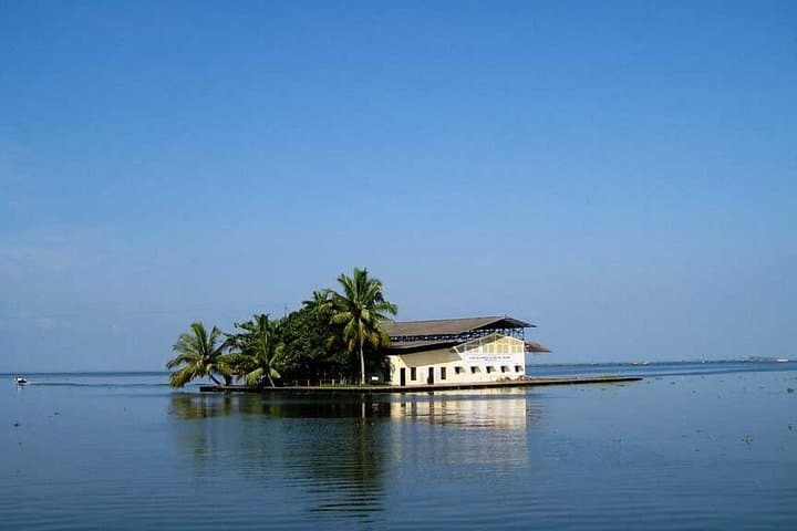 8-Day Kerala Private Tour: Munnar Hills, Periyar Wildlife, Backwaters & Kovalam Beaches photo 3