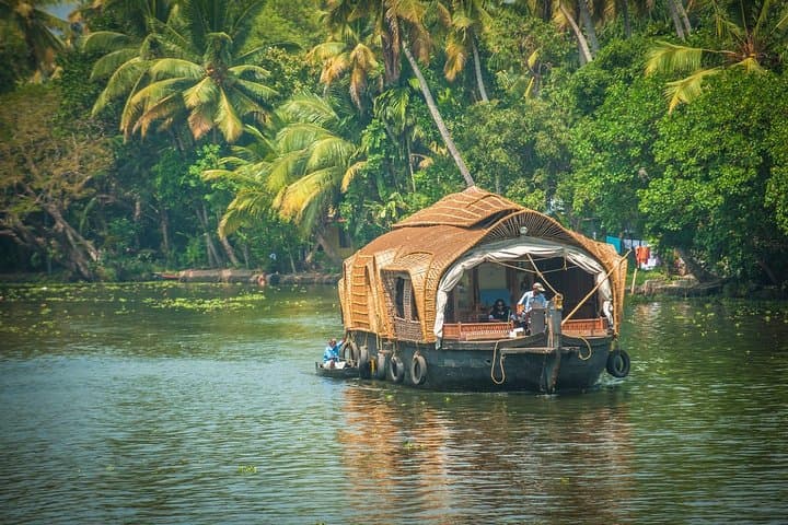 8-Day Kerala Private Tour: Munnar Hills, Periyar Wildlife, Backwaters & Kovalam Beaches photo 6