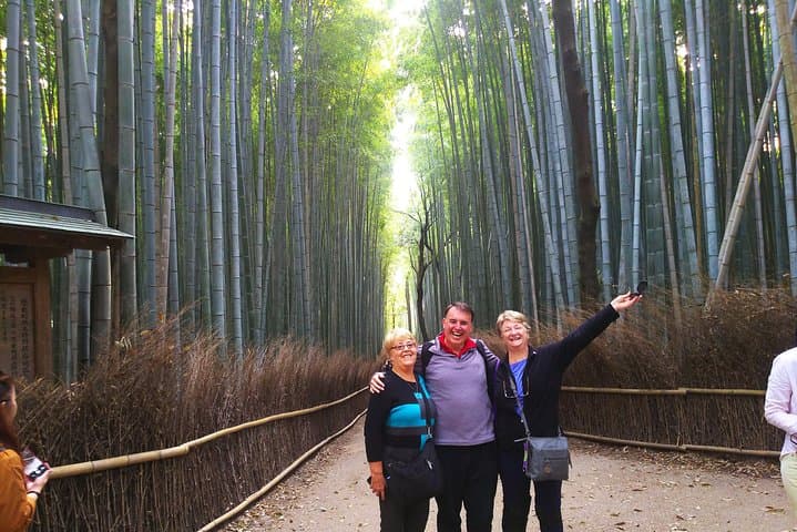 Kyoto and Osaka Two-Day Walking Tour — Temples, Castles & Dotonbori Delights photo 2