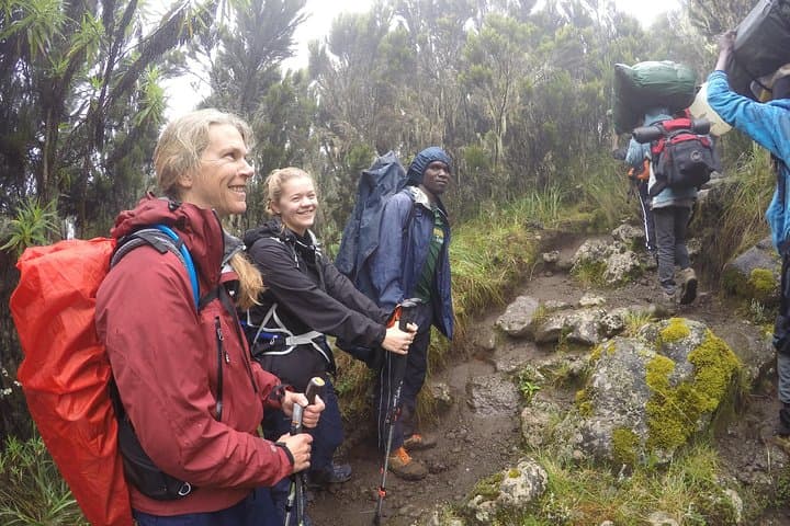 Lemosho Route Trek to Mount Kilimanjaro: Wilderness Acclimatization to Uhuru Peak photo 2