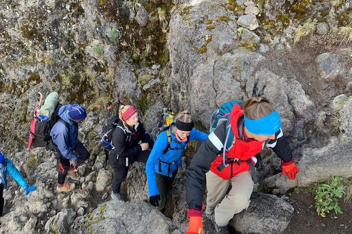 Lemosho Route Trek to Mount Kilimanjaro: Wilderness Acclimatization to Uhuru Peak photo 3