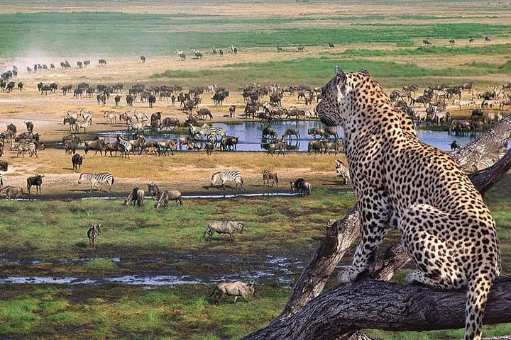 3-Day-Serengeti-and-Ngorongoro-Group-Safari-from-Arusha